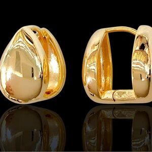 Elegant Gold Hoop Earrings